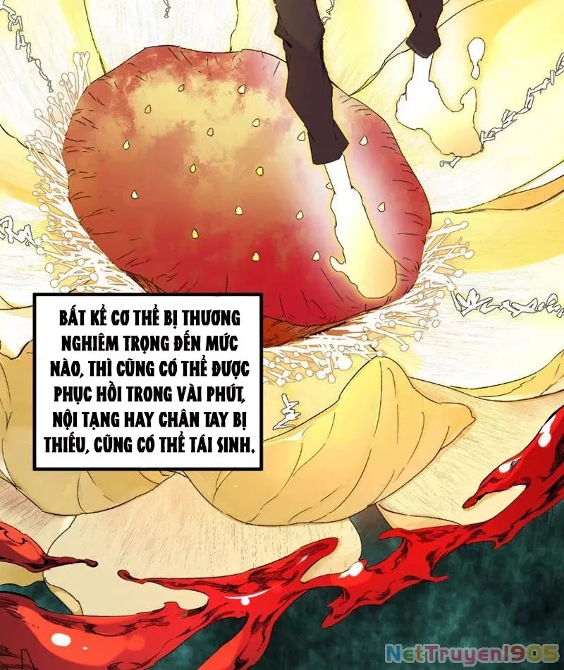 Cấm Chú Sư Mạnh Nhất Lịch Sử - Ch.1 - Trang 23 - Asahi Truyen