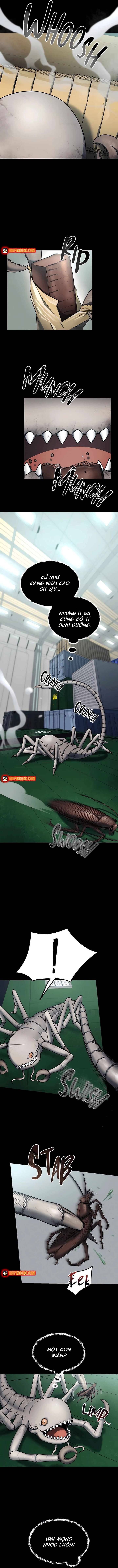 Khởi Nguyên Của Một Quái Thể Vũ Trụ - Ch.2 - Trang 8 - Asahi Truyen