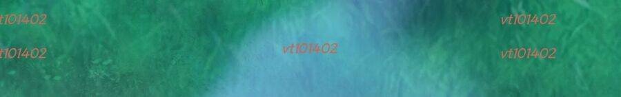 Một Con Dao Mổ Lợn, Chém Tan Vạn Giới Có Vô Lý Quá Không? - Ch.12 - Trang 200 - Asahi Truyen