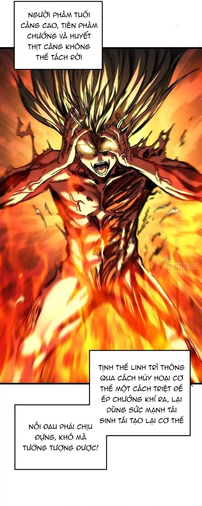 Ta Mô Phỏng Trường Sinh Lộ - Ch.23 - Trang 16 - Asahi Truyen