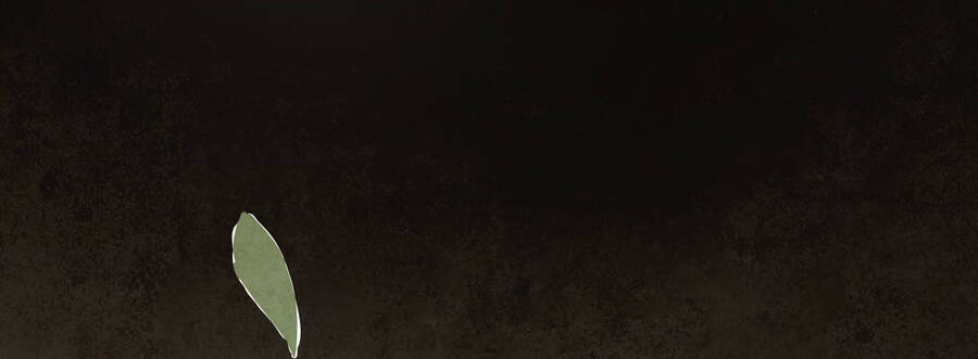 Ý Chí Dũng Sĩ 2 - Ch.6 - Trang 43 - Asahi Truyen